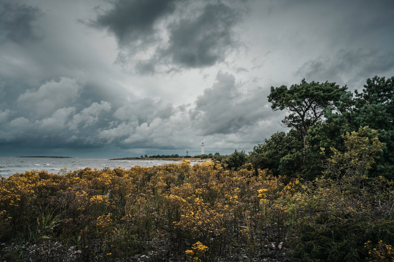 pexels photo 33370821.jpeg