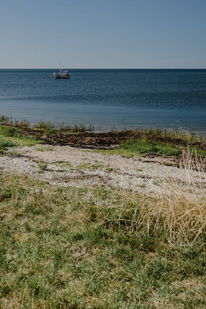 pexels photo 5502284.jpeg